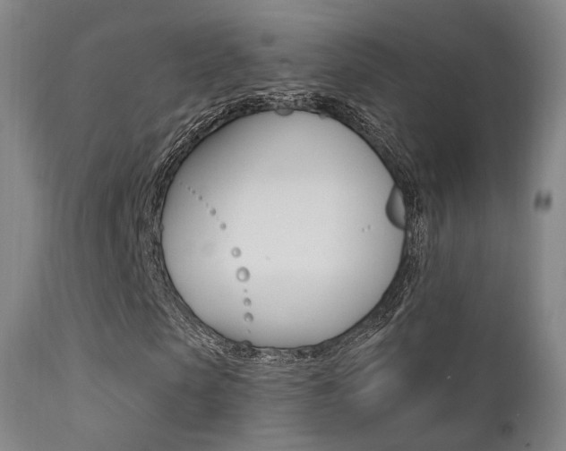 X0000113200913200909100918