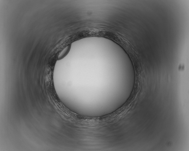 X0000113200914200909100918