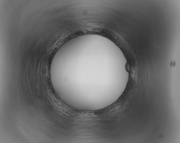 X0000113200915200909100918