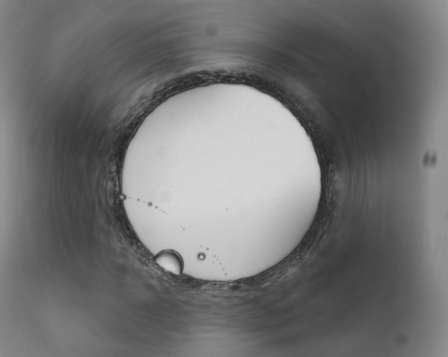X0000113200918200909100918