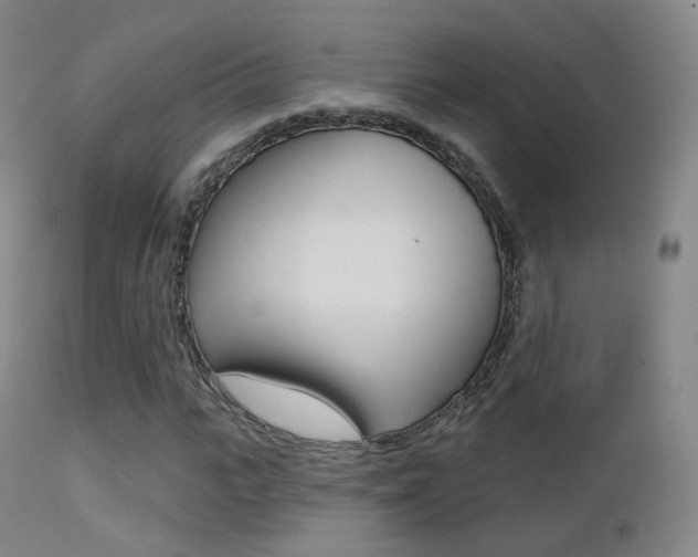 X0000113200919200909100918