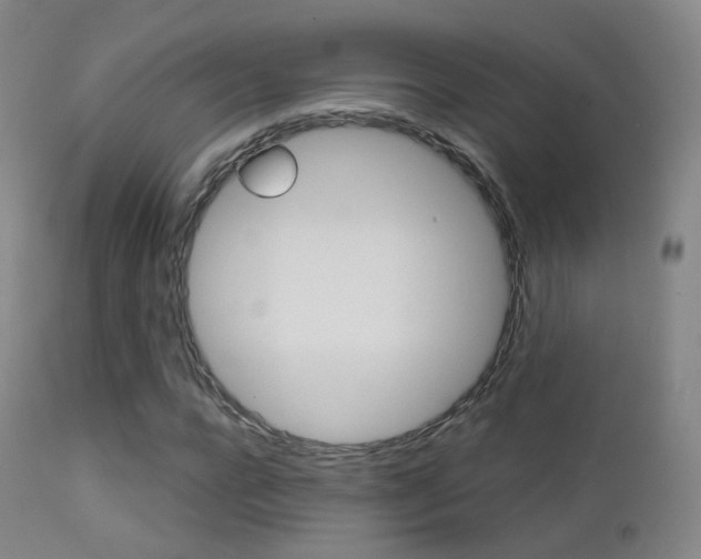 X0000113200920200909100918