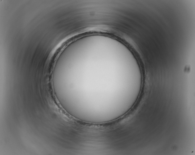 X0000113200923200909100918