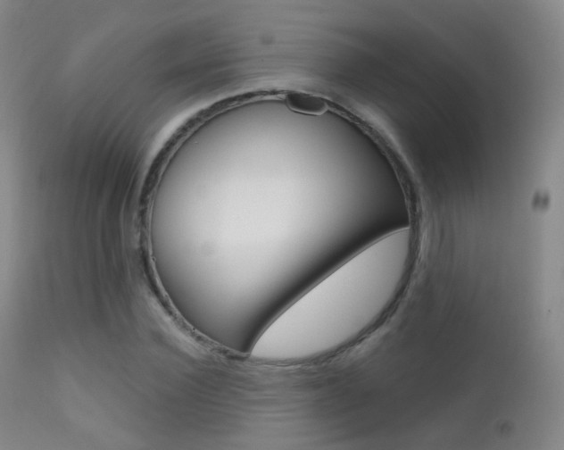 X0000113200924200909100918
