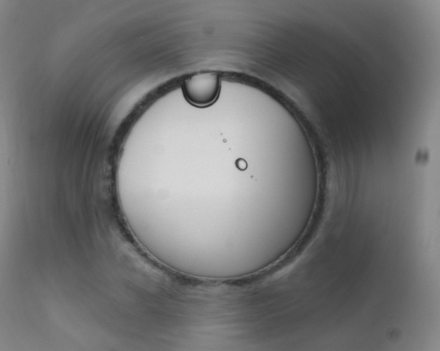X0000113200926200909100919
