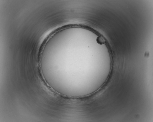 X0000113200927200909100919