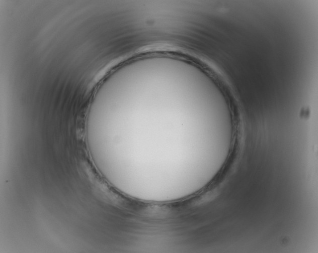 X0000113200929200909100919