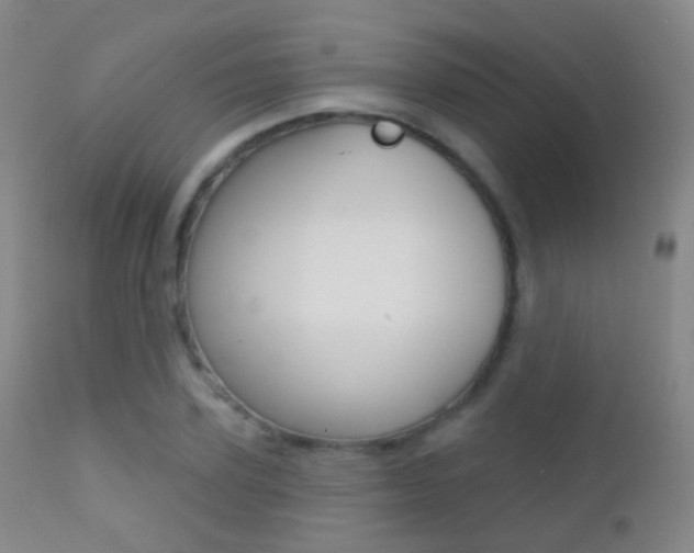 X0000113200931200909100919