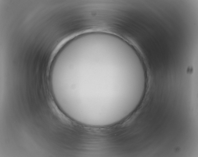 X0000113200932200909100919