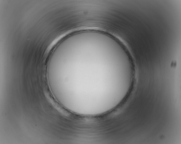 X0000113200933200909100919