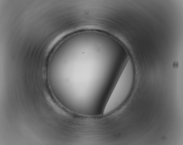 X0000113200934200909100919