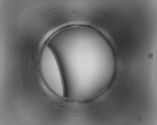X0000113200935200909100919