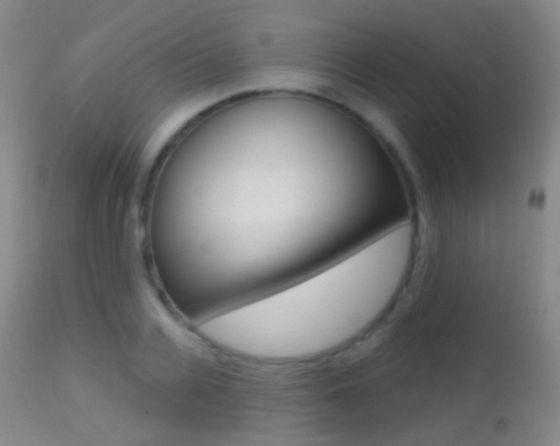 X0000113200936200909100919