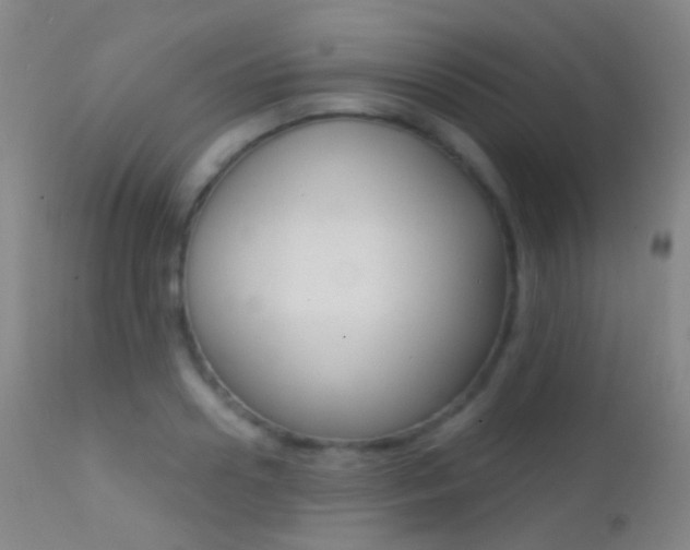 X0000113200938200909100919