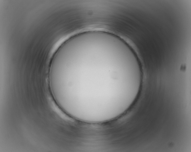 X0000113200941200909100919