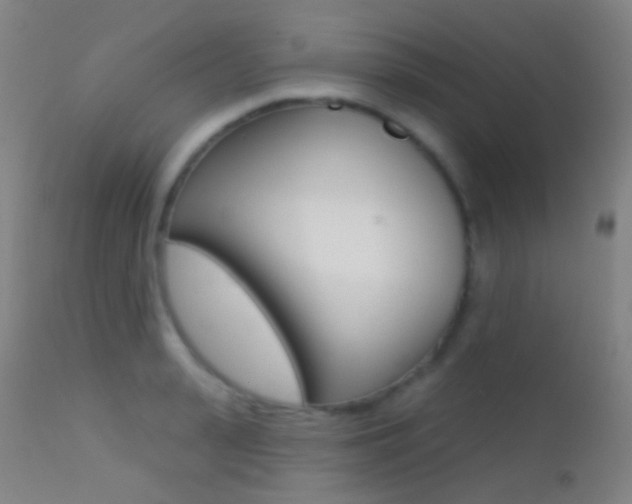 X0000113200943200909100919