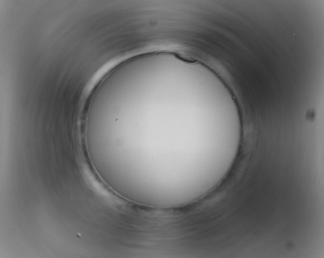 X0000113200947200909100919