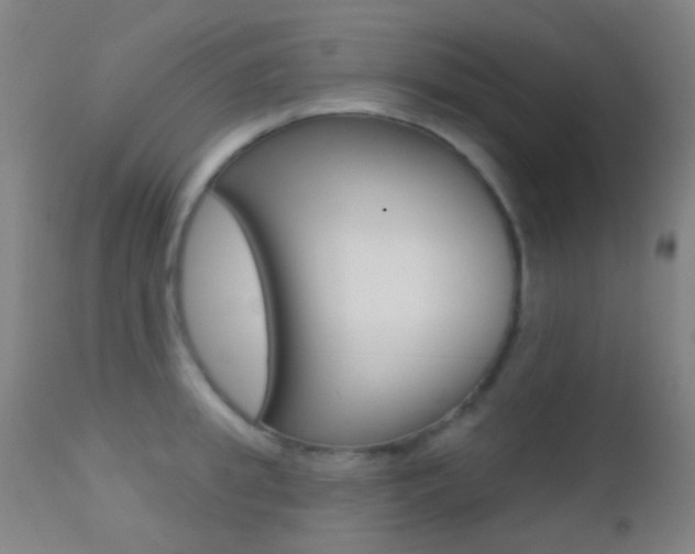 X0000113200949200909100919