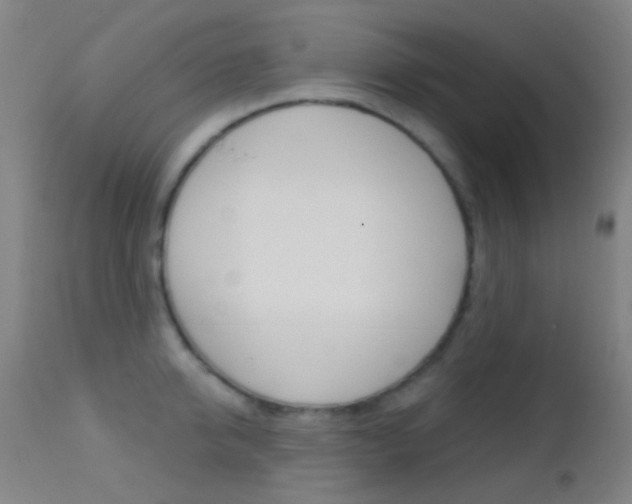 X0000113200950200909100919