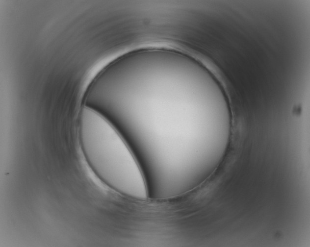 X0000113200951200909100919