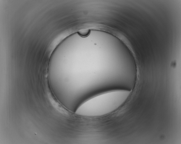 X0000113200954200909100919