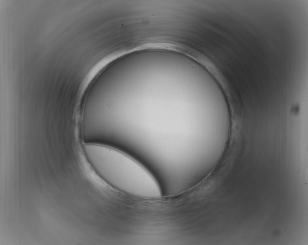 X0000113200955200909100919