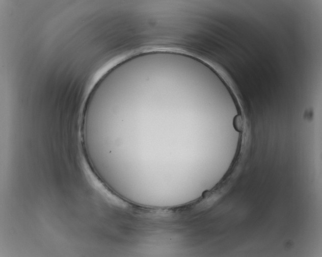 X0000113200957200909100919