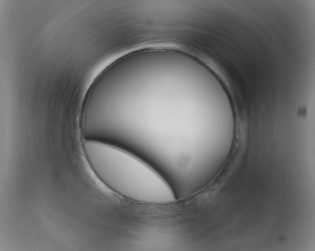 X0000113200959200909100919