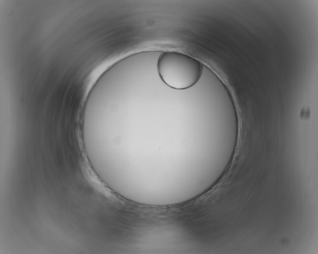 X0000113200960200909100919