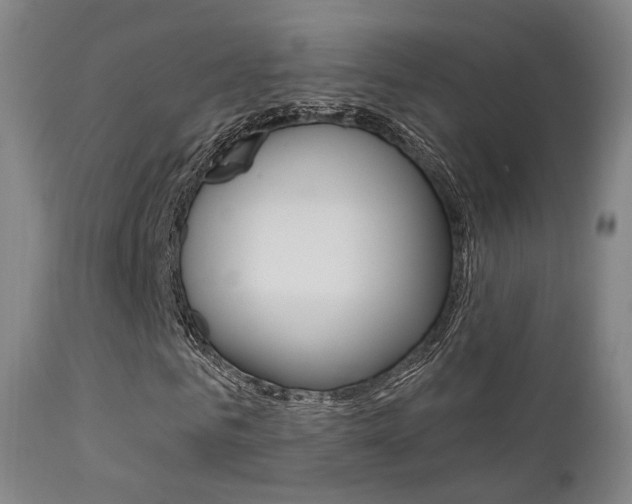 X0000113200961200909100918