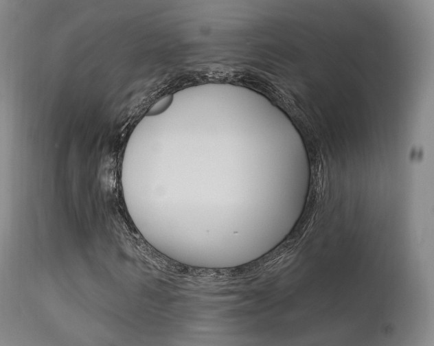 X0000113200962200909100918