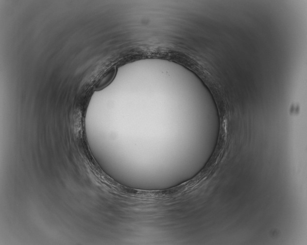 X0000113200963200909100918