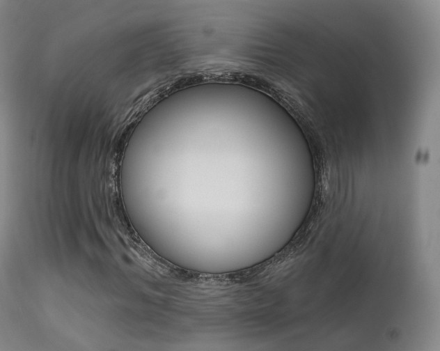 X0000113200964200909100918