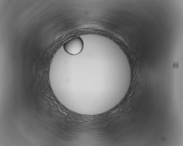 X0000113200965200909100918