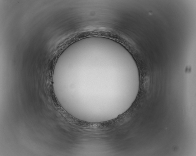 X0000113200966200909100918