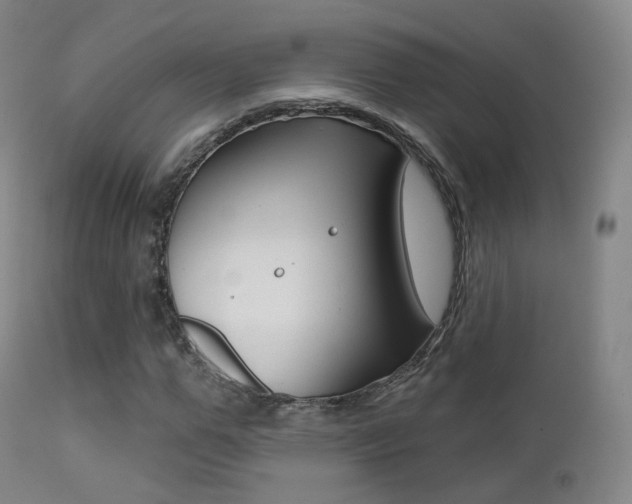 X0000113200967200909100918