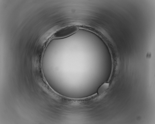 X0000113200969200909100918