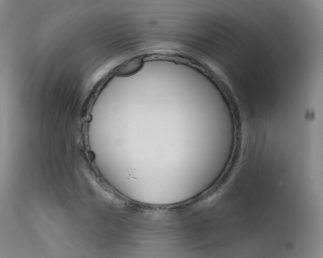 X0000113200970200909100918