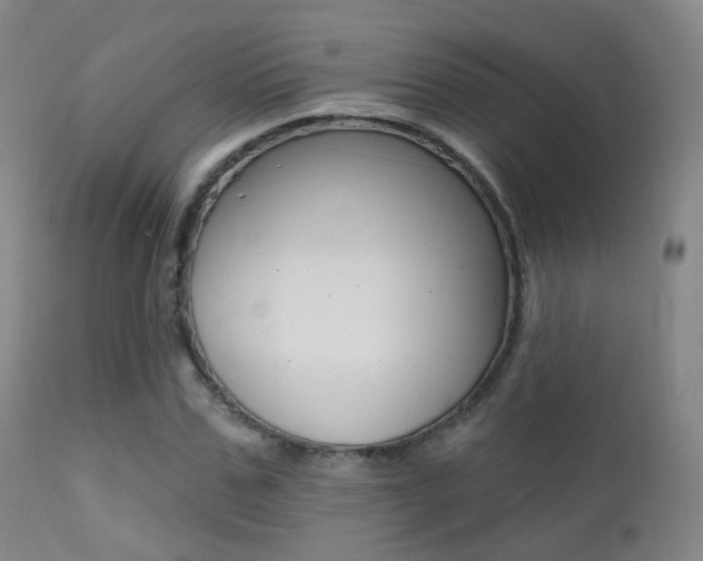 X0000113200971200909100918