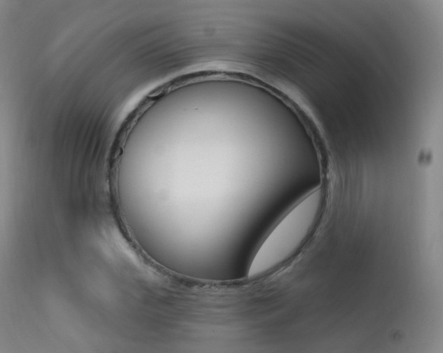 X0000113200972200909100918