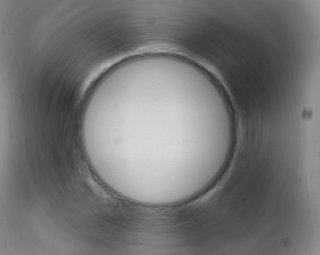 X0000113200973200909100918