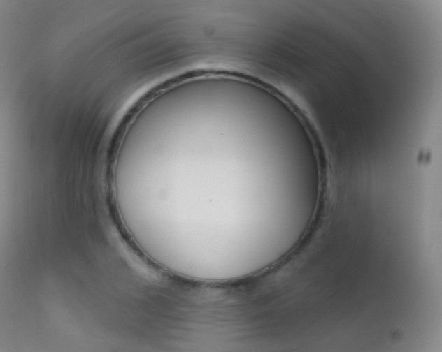 X0000113200976200909100918