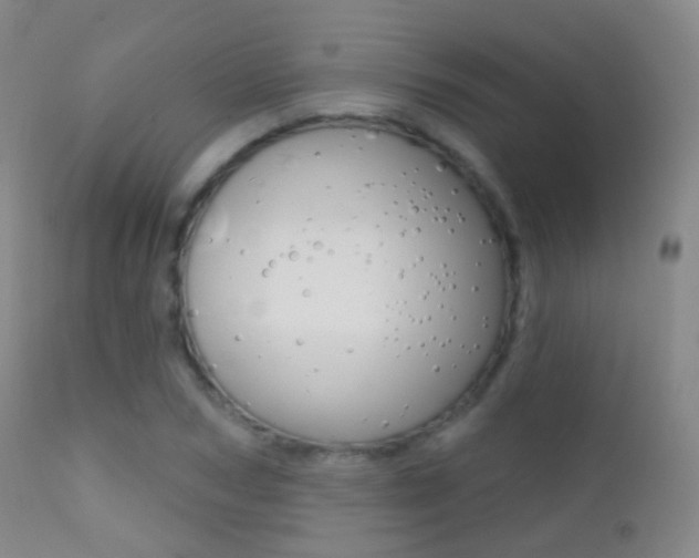 X0000113200978200909100918