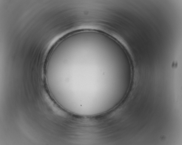 X0000113200980200909100918