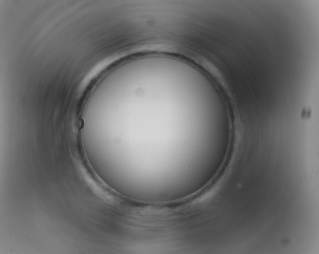 X0000113200981200909100918