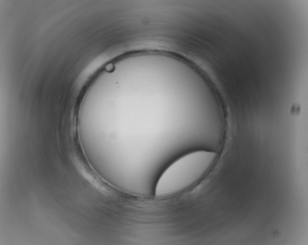 X0000113200982200909100918