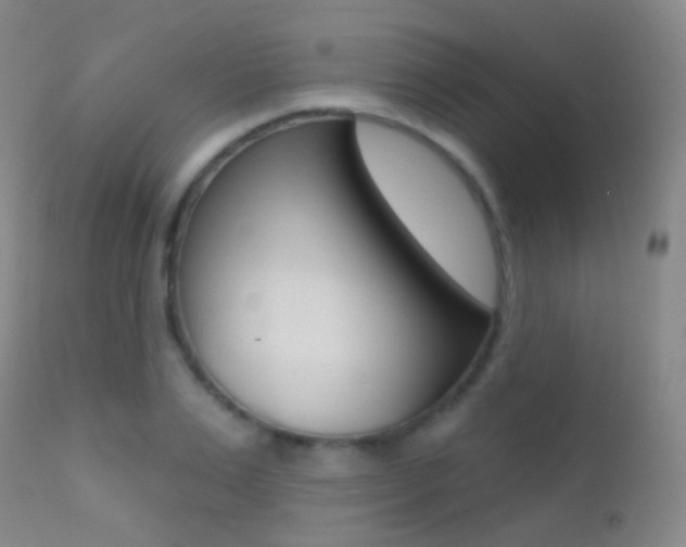 X0000113200983200909100918