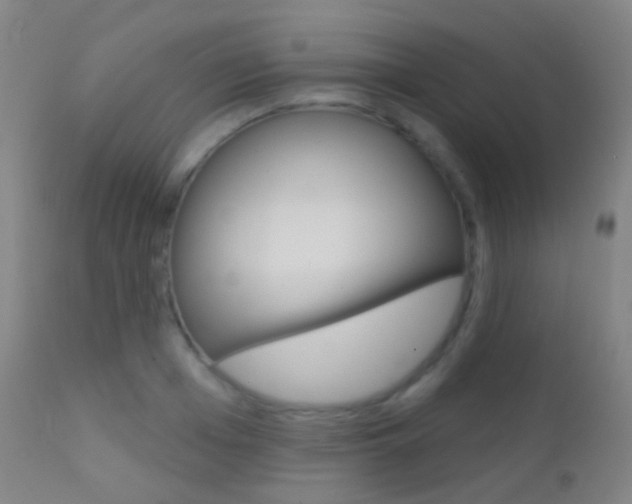 X0000113200985200909100918