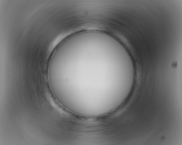 X0000113200986200909100918