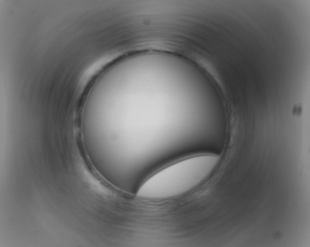 X0000113200987200909100918